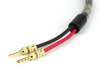 Load image into Gallery viewer, Straight Wire Virtuoso H