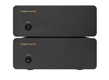 Load image into Gallery viewer, Exposure XM9 Mono Power Amplifier - The HiFi Shop