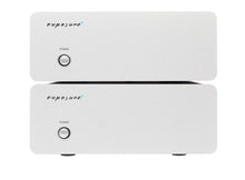 Load image into Gallery viewer, Exposure XM9 Mono Power Amplifier - The HiFi Shop