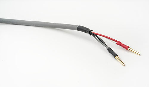 Straight Wire Chorus II