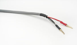 Straight Wire Chorus II