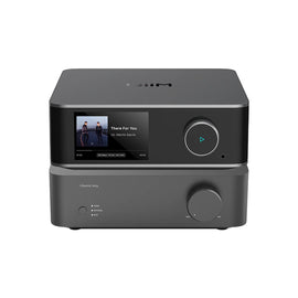 WiiM Vibelink & WiiM Ultra Combo