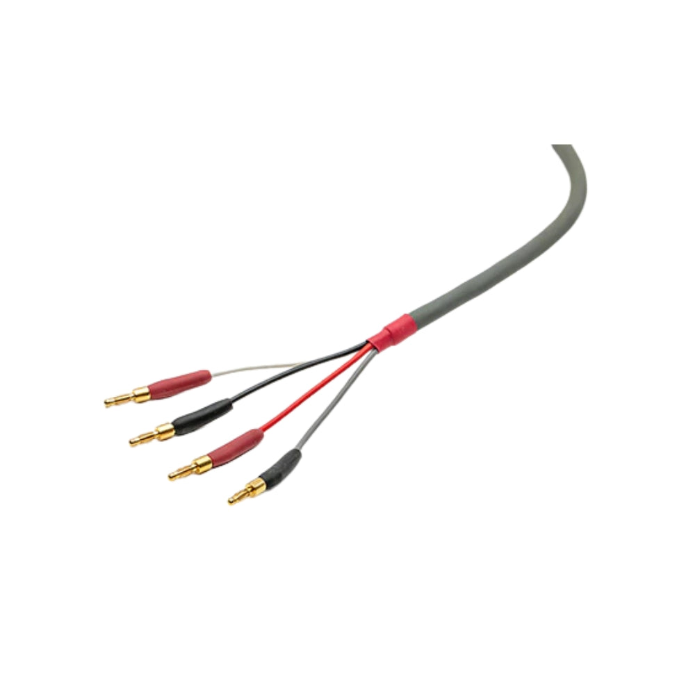 Straight Wire Chorus II