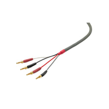 Load image into Gallery viewer, Straight Wire Chorus II