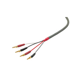 Straight Wire Chorus II